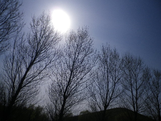 IMGP0405