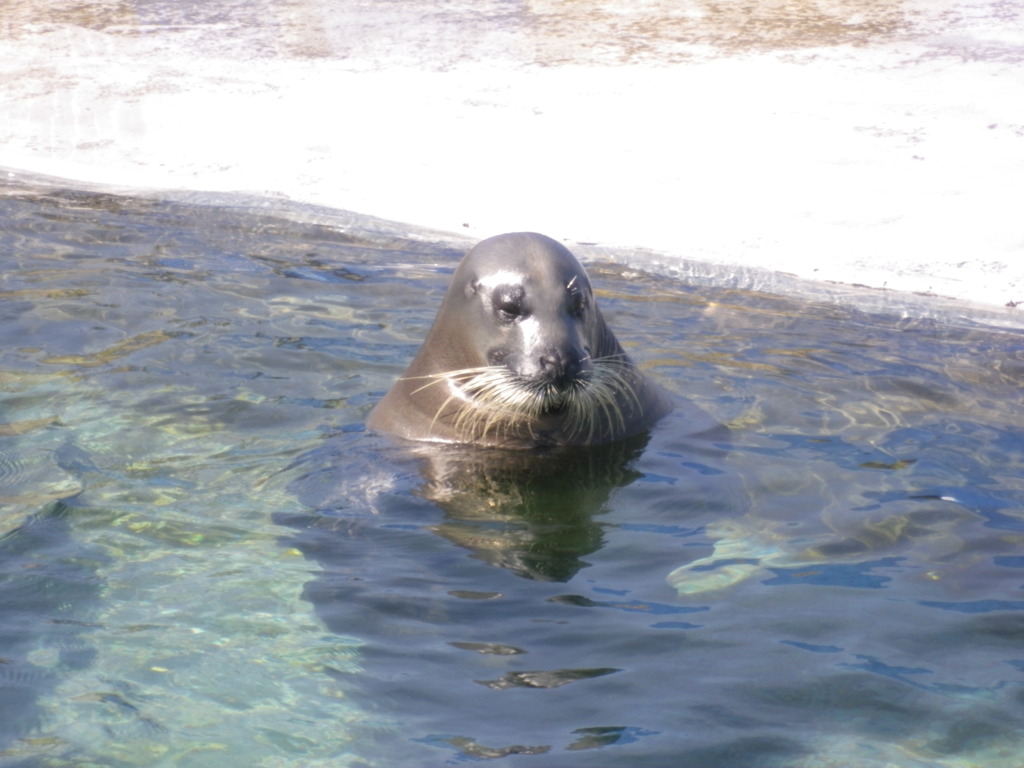IMGP0771