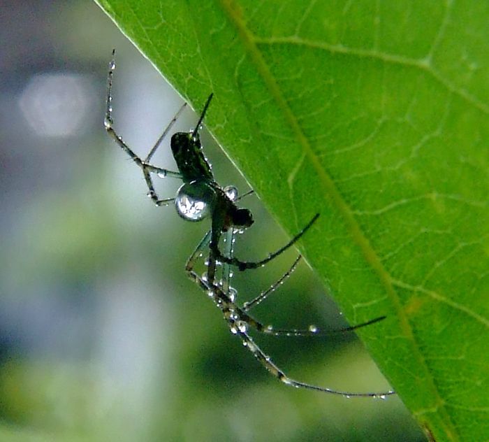 水を運ぶ