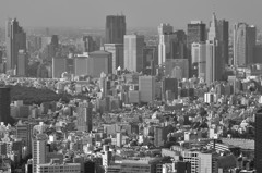 2013　新宿摩天楼
