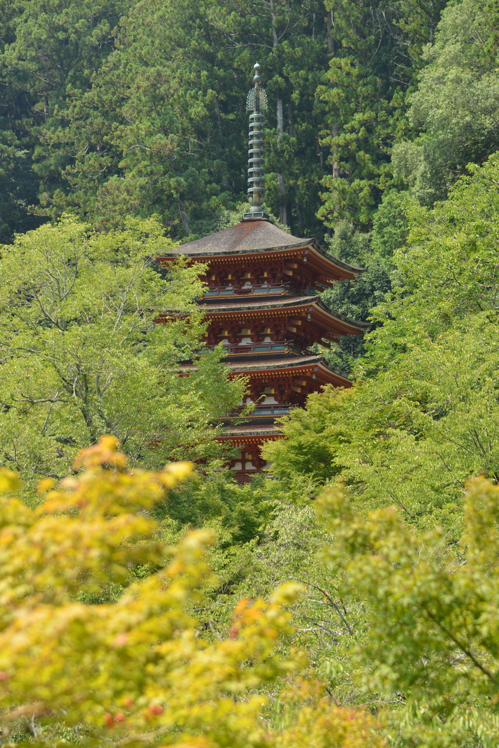 夏の長谷寺