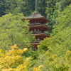 夏の長谷寺