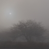 Deep fog