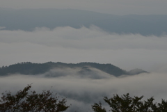 雲海