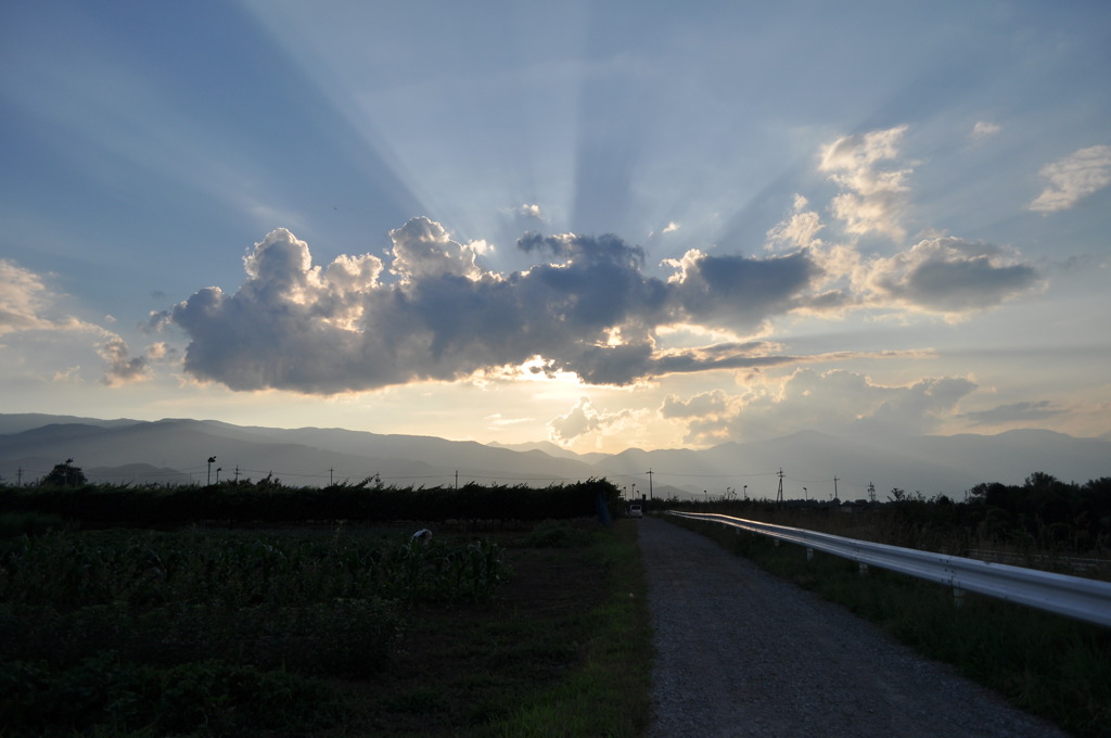 夏の帰り道