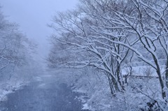 冬の情景