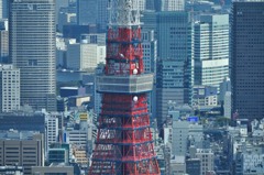 東京タワー