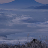 高ボッチから見た富士