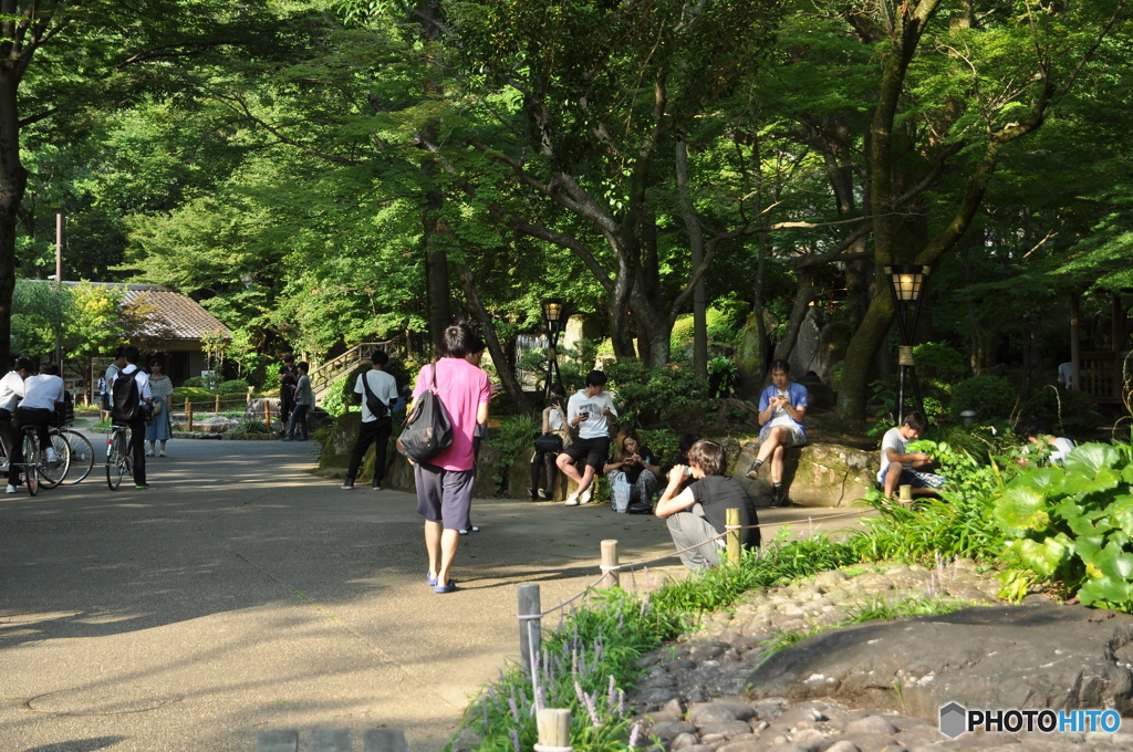 ポケモン探し　岐阜公園
