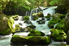 蓼科大滝