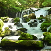 蓼科大滝