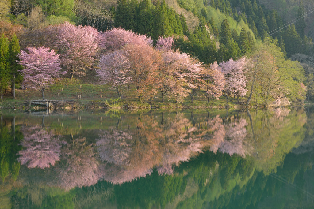 朝陽