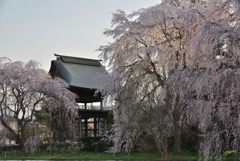 安養寺　鐘楼