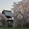 安養寺　鐘楼