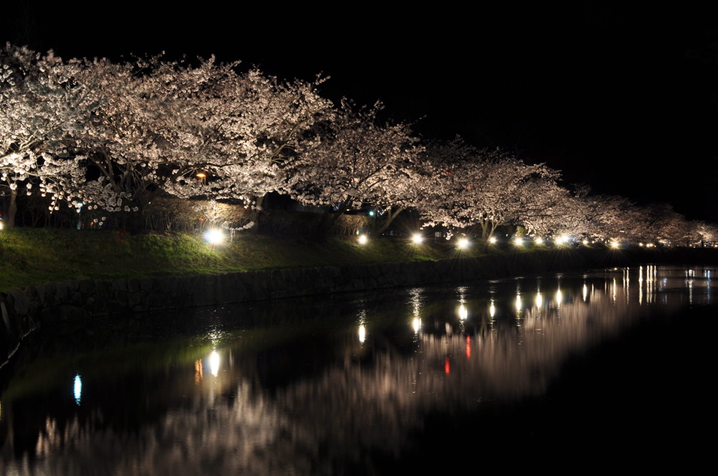 夜桜会　西堀