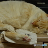 こてん