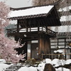 冷桜と鐘門