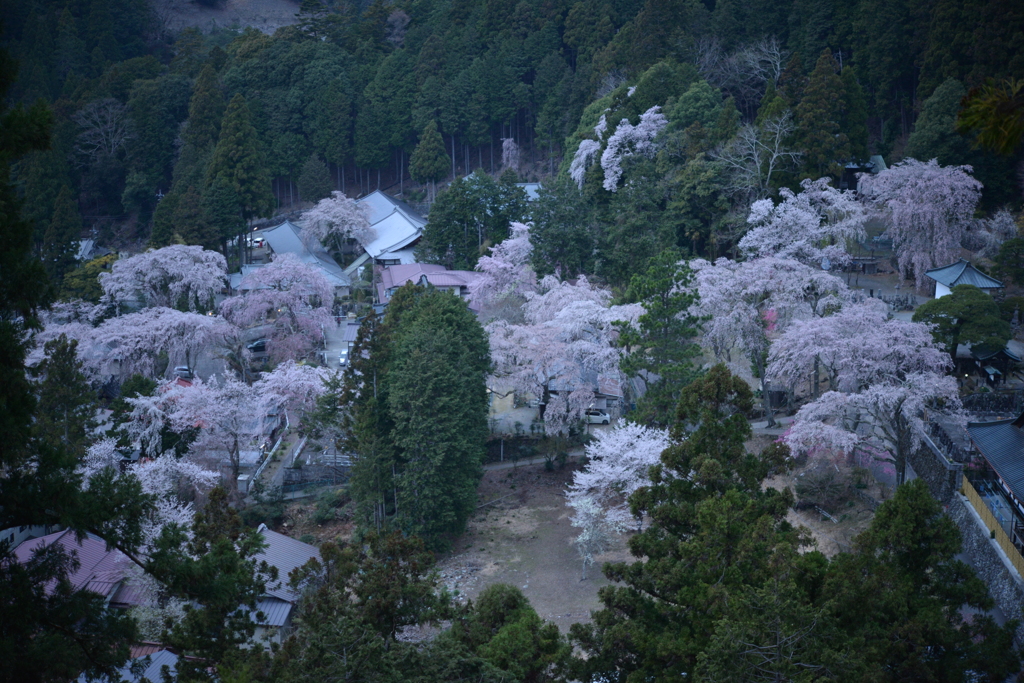 身延山
