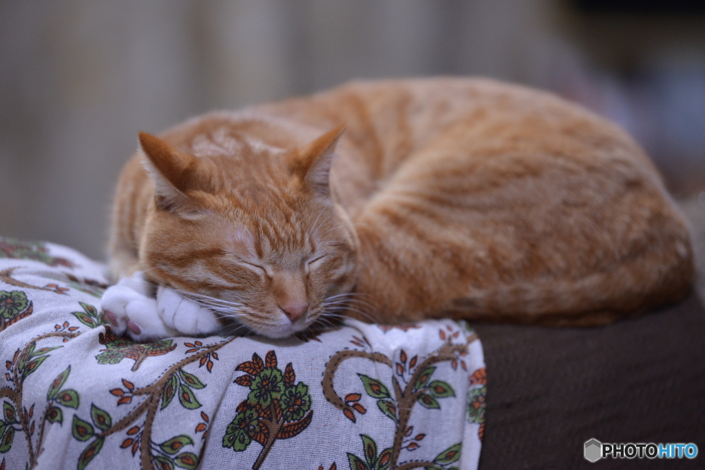 年の瀬　関係無し