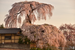 東漸寺　