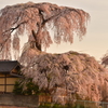 東漸寺　