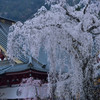 朝のお勤め