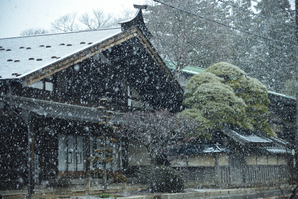 小野宿に舞う