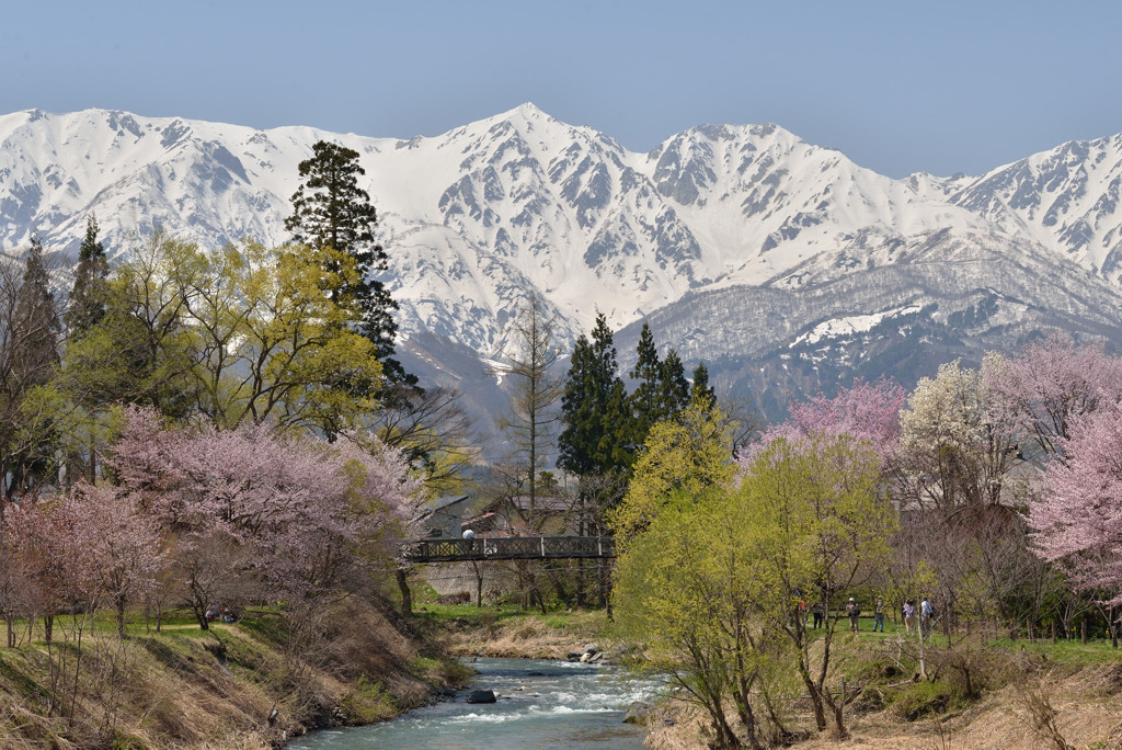 大出公園