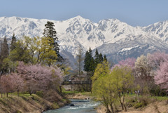 大出公園