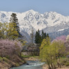 大出公園