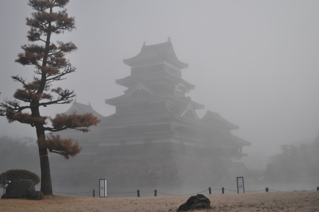 朝霧