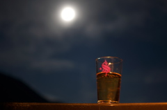 おぼろ月夜に乾杯