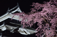 城と桜