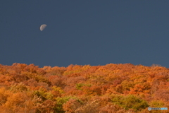 錦秋に沈む