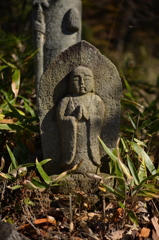 秋の木洩れ日