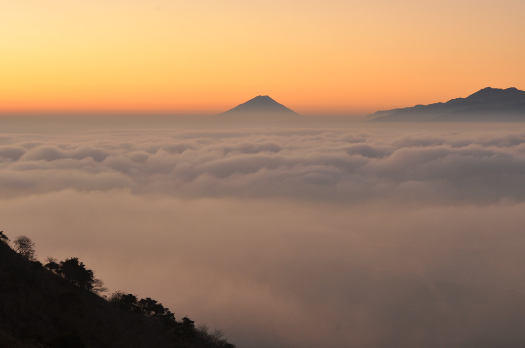 Before dawn