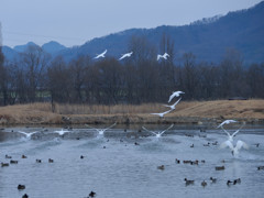 Take　off