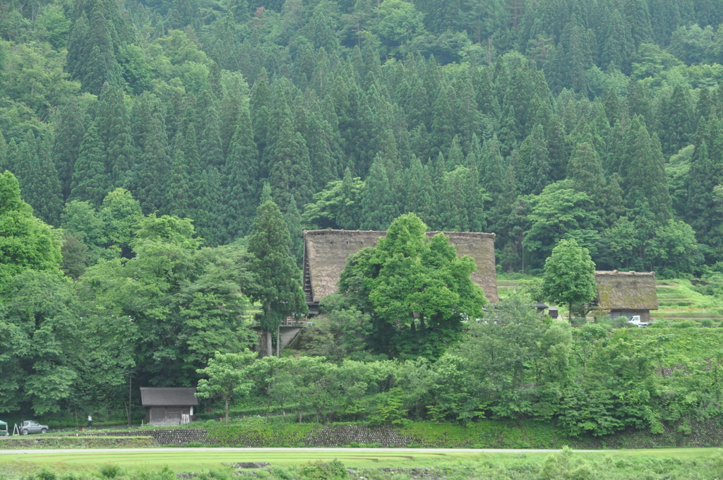 白川郷