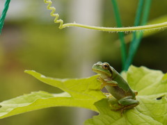 ポーズとってやるよぉ