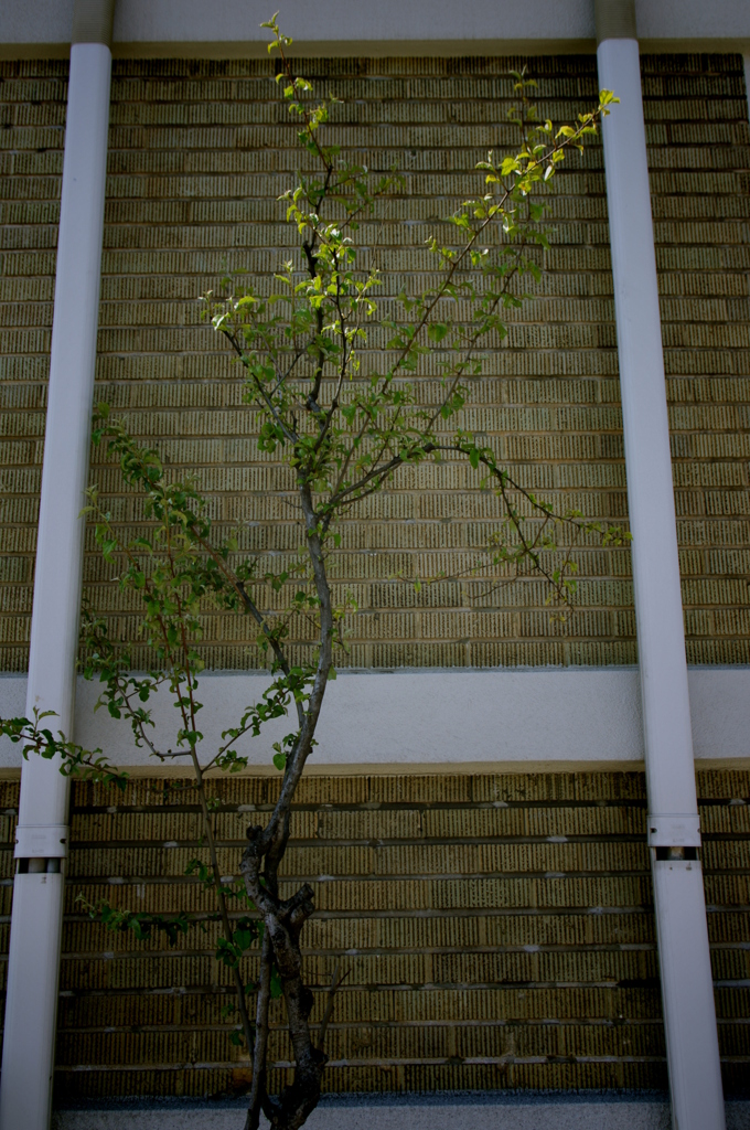 IMGP1368