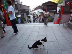 散歩
