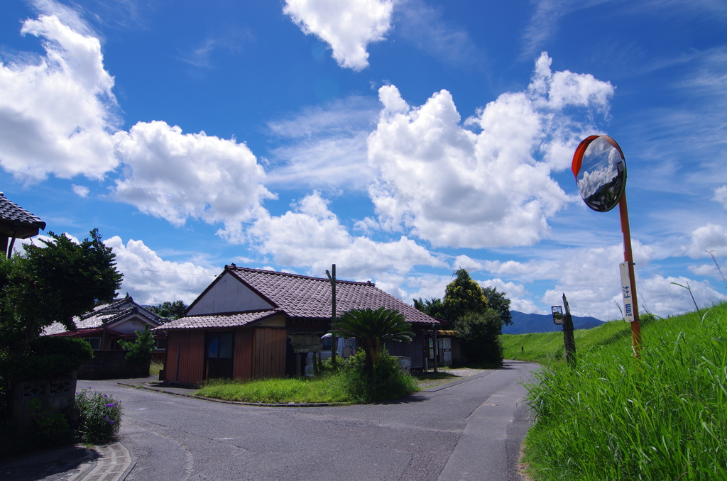 日本の夏