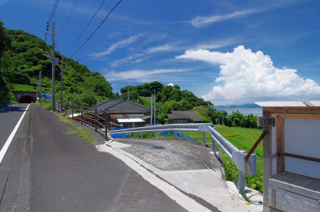 田舎の夏