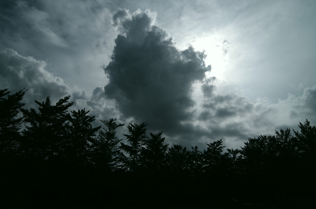 瞼の裏の夏