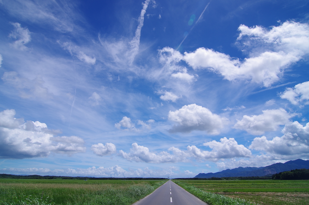 夏空へ続く道