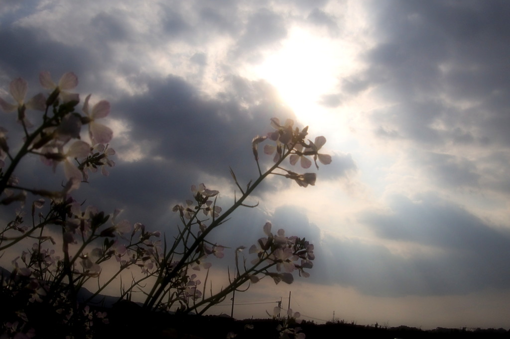 あの世の空