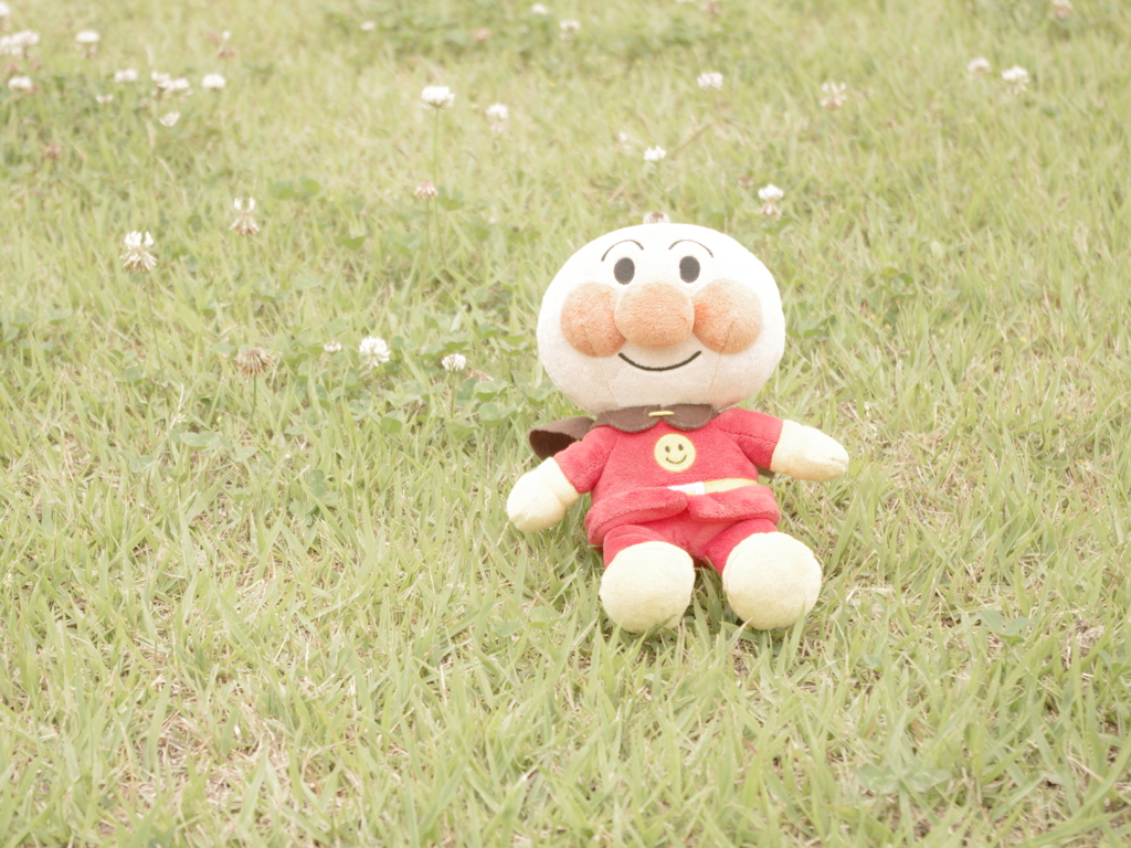 公園の忘れ物