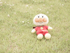 公園の忘れ物