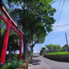誰かの通り道