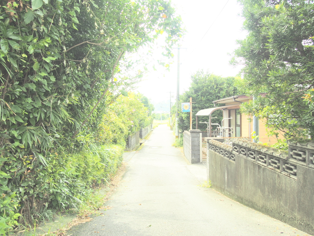 ひっそり小道